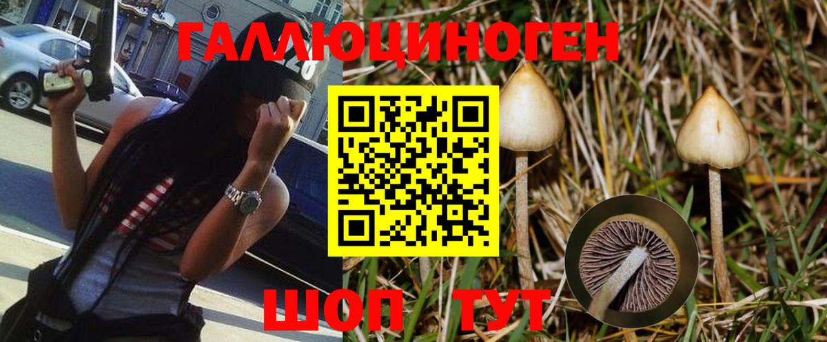 Псилоцибиновые грибы MAGIC MUSHROOMS  где купить наркоту  Галлюциногенные грибы Magic Shrooms  Сунжа  Вход с VPN 