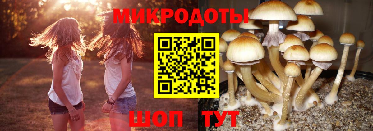 Галлюциногенные грибы прущие грибы Сунжа