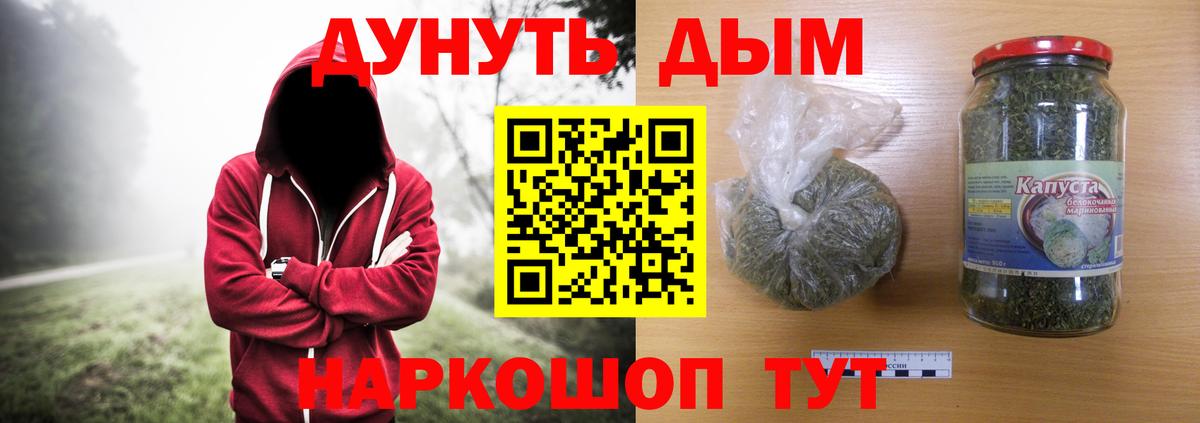 Сунжа  Канабис сатива  Вход с VPN  Канабис ГИДРОПОН 
